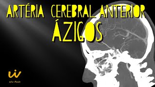 ARTÉRIA CEREBRAL ANTERIOR ÁZIGOS  Variação Anatômica na AngioTC de Crânio [upl. by Sakiv]