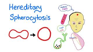 CCC Online Biology Lab Resources  Observing Osmosis with Red Blood Cells Setup [upl. by Imena]