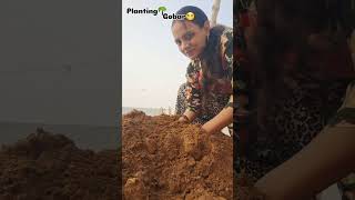 Planting🪴Gobar se allergy🥲foryou trendingshorts viralshort ytshorts minivlog [upl. by Amaj]