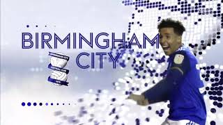 Sky Sports OFFICIAL EFL Championship Intro 202021 [upl. by Kerred901]