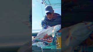 YOU need a Bull Bay Rod bullbayrods fishing outdoors fish floridafishing [upl. by Abramo]