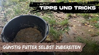 TampT GÜNSTIG FUTTER SELBST ZUBEREITEN  Produkte aus dem Supermarkt als Alternative [upl. by Airegin]