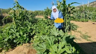 DİNLERSEN ANLARSIN‼️ BALKABAK ÇİÇEĞİ ACI OLUR AŞ KABAK HARİKA UYUMADAN TOPLA  KABAK ÇİÇEĞİ DOLMASI [upl. by Ahtnahc798]