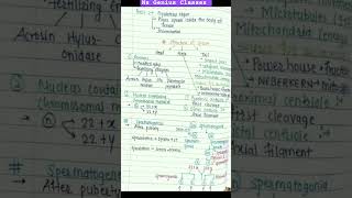 Human Reproduction class 12 Notes  notes pdf  Human reproduction short notes neet shortnotes [upl. by Avirt]