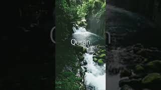 Surah Qasas 28 Ayat 7982 Urdu translation [upl. by Eniluap68]