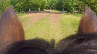 Eland Lodge Hunter Trials  80cm GoPro CarrieCam [upl. by Tertia]