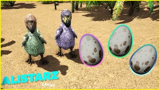 ARK SURVIVAL DODO GUIDE  Taming Mating amp Eggs [upl. by Thirzia]