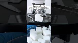 The sugar cube looks cool at 400x magnificationsugar sugarcube microscope foryou shorts [upl. by Whitby]