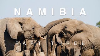 NAMIBIA  Part Three  Damaraland Etosha Twyfelfontein  4K Cinematic Travel Video [upl. by Ameekahs974]