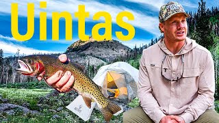 Backpacking Camping amp Fishing in the Uinta Mountains [upl. by Partan]