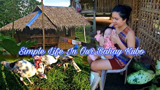 This Is What Its Like Living In A Tiny Bahay Kubo  Simple Life In The Province [upl. by Lot]