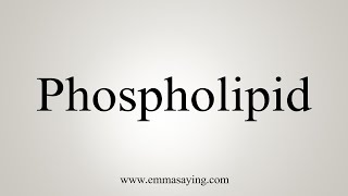 How To Say Phospholipid [upl. by Enobe371]