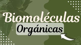 Biomoléculas Orgánicas Resumen 📚⚡ [upl. by Tsyhtema711]