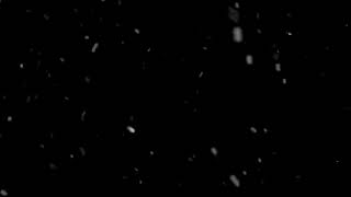 White particles effect Snow effect Snowfall effect Black screen snow effect [upl. by Laureen]