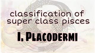 Classification of superclass pisces Class I Placodermi upto order  Bsc [upl. by Mariann]