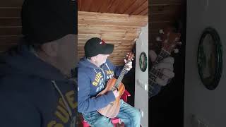 Baritone Ukulele  12 Bar Blues in EADG Tuning [upl. by Wyndham]