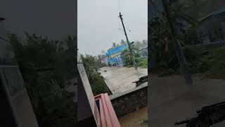 Today Rain At Sankarankovil [upl. by Avir625]