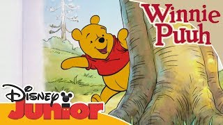 Freundschaftsgeschichten mit Winnie Puuh Verstecken spielen  Disney Junior [upl. by Ferne]