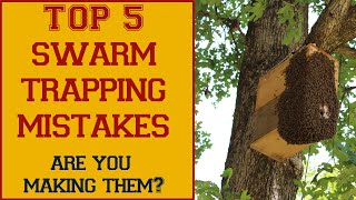 Are YOU Making These Top 5 Swarm Trapping Mistakes [upl. by Anihsat]