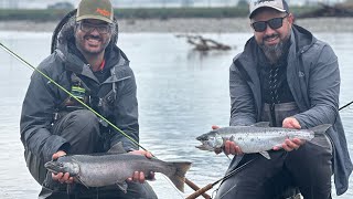 Fly fishing for coho vedder river chilliwack [upl. by Ahsuatan]