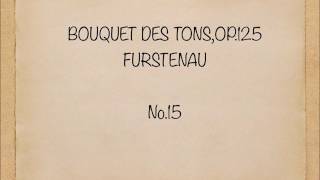 24 Etude Bouquets des Tons Op125 No15Furstenau [upl. by Pernell]