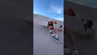 Dog races past Skimboarder down a sand dune [upl. by Reniti447]