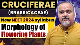 NEET 2024 UPDATED SYLLABUS  Plant Families  Cruciferae  NEET Biology neet neet2024 neetprep [upl. by Adalheid990]