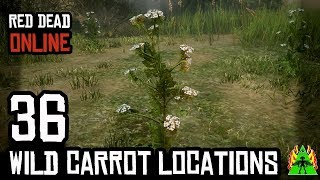 Red Dead Redemption 2 ONLINE  WILD CARROT LOCATIONS [upl. by Eislek]