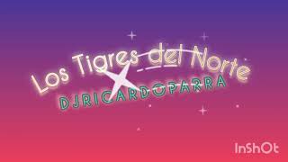 Los Tigres del Norte 🇲🇽  SET MIX  🎧DjRicardoParra Pionner DJ [upl. by Nodnorb823]