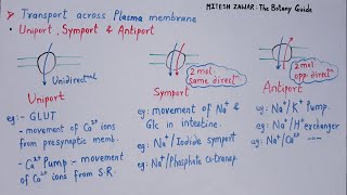 UNIPORT SYMPORT AND ANTIPORT Transport across Cell Membrane  Primary amp Secondary Active Transport [upl. by Auqenehs]