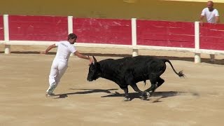 La Course Camarguaise Camargue southern France videoturystaeu [upl. by Lilly]