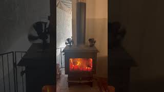 Log burner keeping us warm in Aviemore Scotland 🏴󠁧󠁢󠁳󠁣󠁴󠁿 shorts scotland fire [upl. by Alliuqahs]