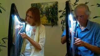 Two Harps playiing OCarolans Air with Hayden carbon fiber harps [upl. by Banna]