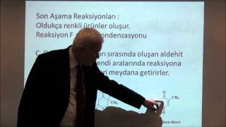 Prof Demirayak Maillard Reaksiyonlarını anlattı [upl. by Assilem]