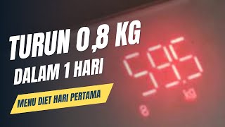 Menu Diet Hari Pertama Turun 08 Kg Dalam Sehari Dengan Telur [upl. by Schonthal]