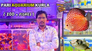 Pari aquarium kurla wholsale fish market 🦈  new fish stock  ft satyam singh  ft aarif momin [upl. by Sybil]