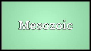 Mesozoic Meaning [upl. by Ybot]