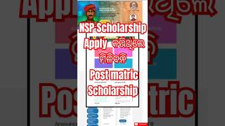 Post matric Scholarship New Big Update 2024  Nsp apply କରିଥିଲେ ମିଳିବନି Post matric scholarship [upl. by Sonni]