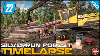 🇺🇸 Processing amp Loading Wood In Volvo EC250DL  Logging Series ⭐ FS22 Silverrun Forest Timelapse [upl. by Hcra]