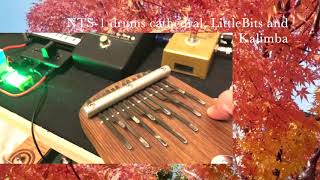 NTS1 drumsRuismaker cathedral reverb LittleBits and Kalimba [upl. by Arobed938]