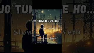 Jo Tum Mere Ho I Anuv Jain I Slowed amp Reverb I Sufyan Lofi slowedandreverb anuvjain shorts [upl. by Dyane]