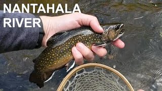 Fly Fishing for Trout on the Nantahala River  Western North Carolina [upl. by Eixel]