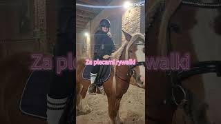 Idealna piosenka dla koniar horse equestrian [upl. by Thea]