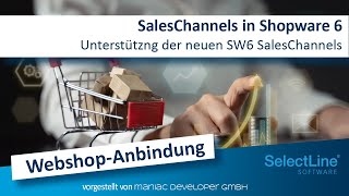 Mehrere Shopware 6 SalesChannels einfach aus einem ShopProfil der Schnittstelle ansprechen [upl. by Koah]