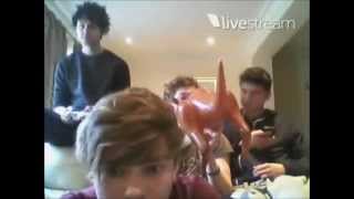 5SOS FANS 5 Seconds Of Summer CAKE Live Streaming Moments 1 [upl. by Sirtimed]