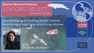 Eavesdropping on working whales with Dr Renee Albertson [upl. by Bonaparte126]