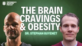 How The Brain Impacts Hunger amp Weight Gain [upl. by Terraj]