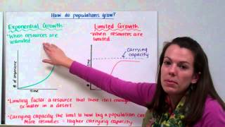 Population Ecology [upl. by Terrena]