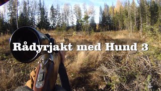 Rådyrjakt med hund 3 [upl. by Angele]