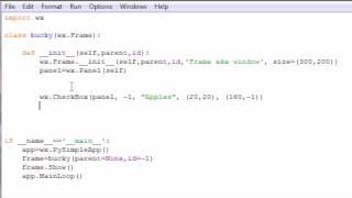 wxPython Programming Tutorial  12  Check Boxes [upl. by Lyrac]